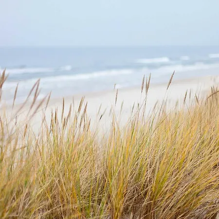 公寓 Arielle _ Objekt 28014 罗斯托克