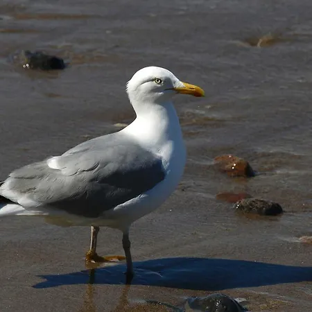 Arielle _ Objekt 28014 Apartment *